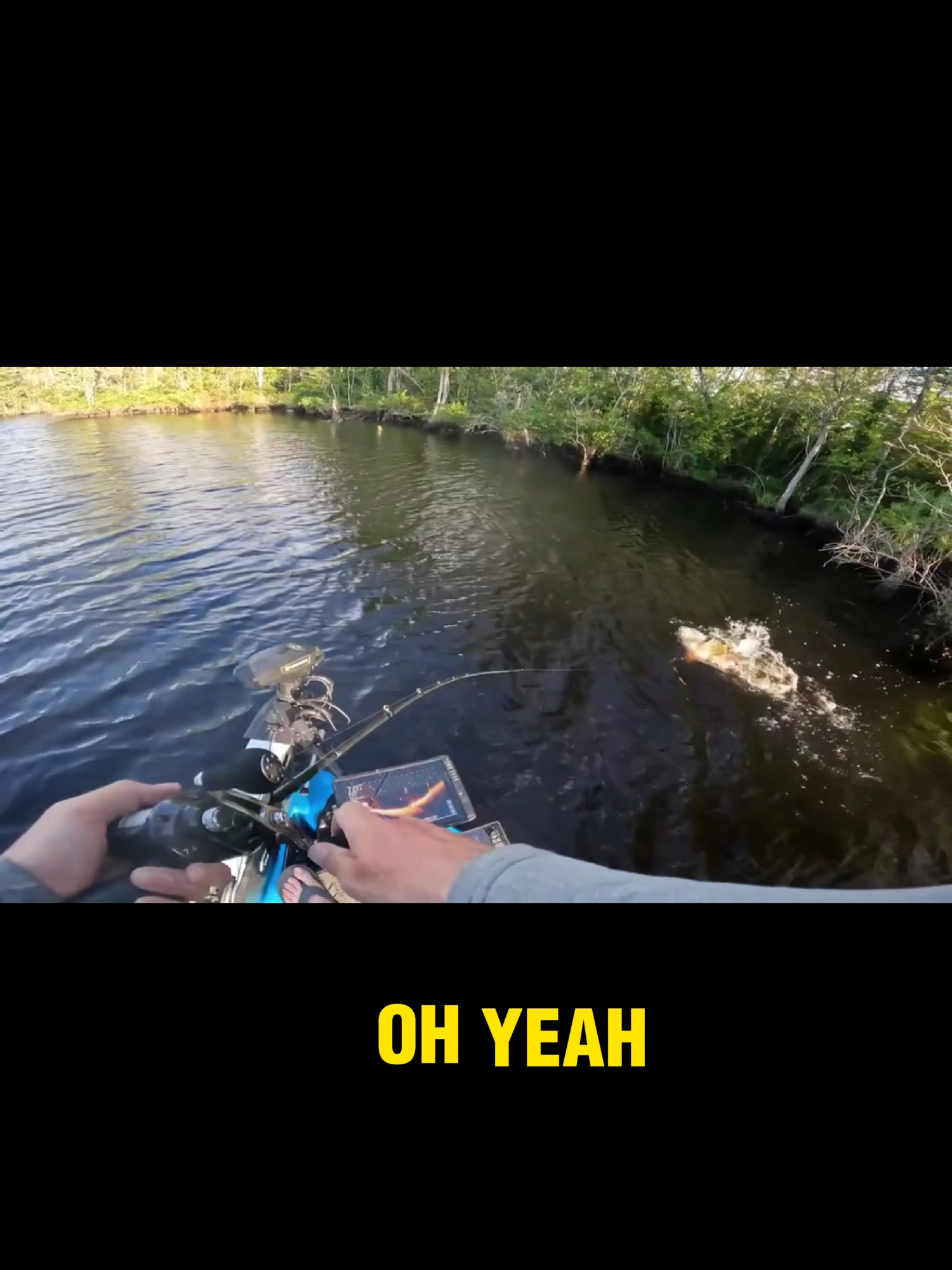 @rlf fishing