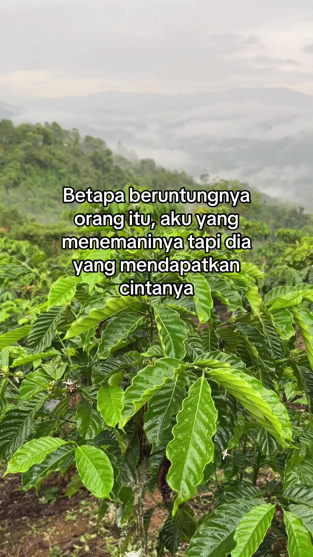 @Prof ☕️ MILENIAL