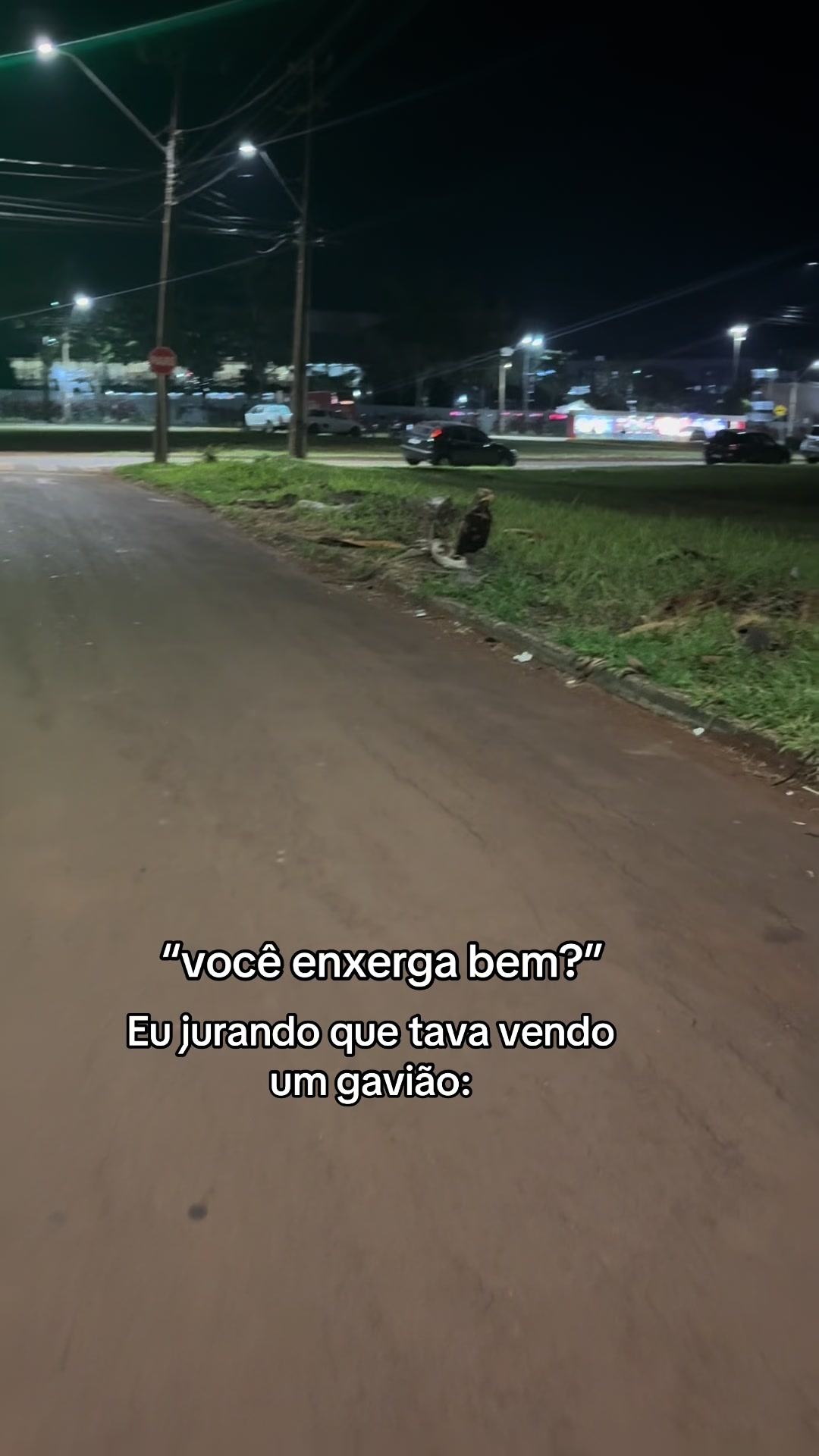 @vitoriaxchaves_