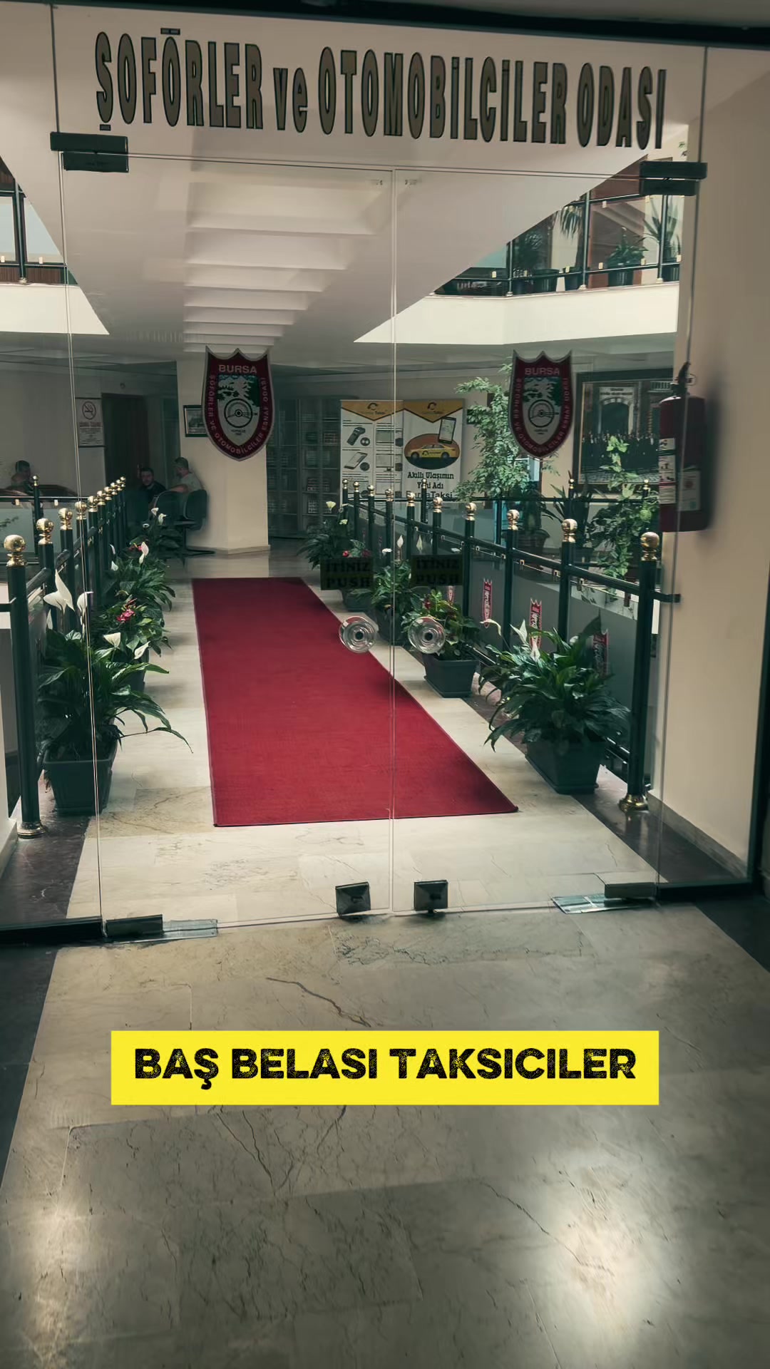@çaylak