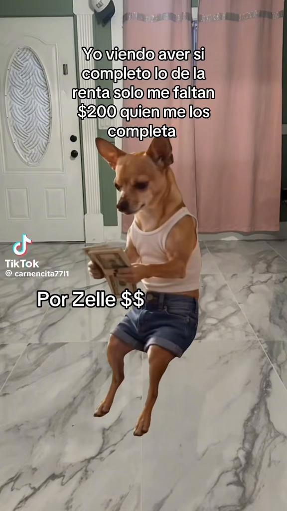 @johannagonzalez595
