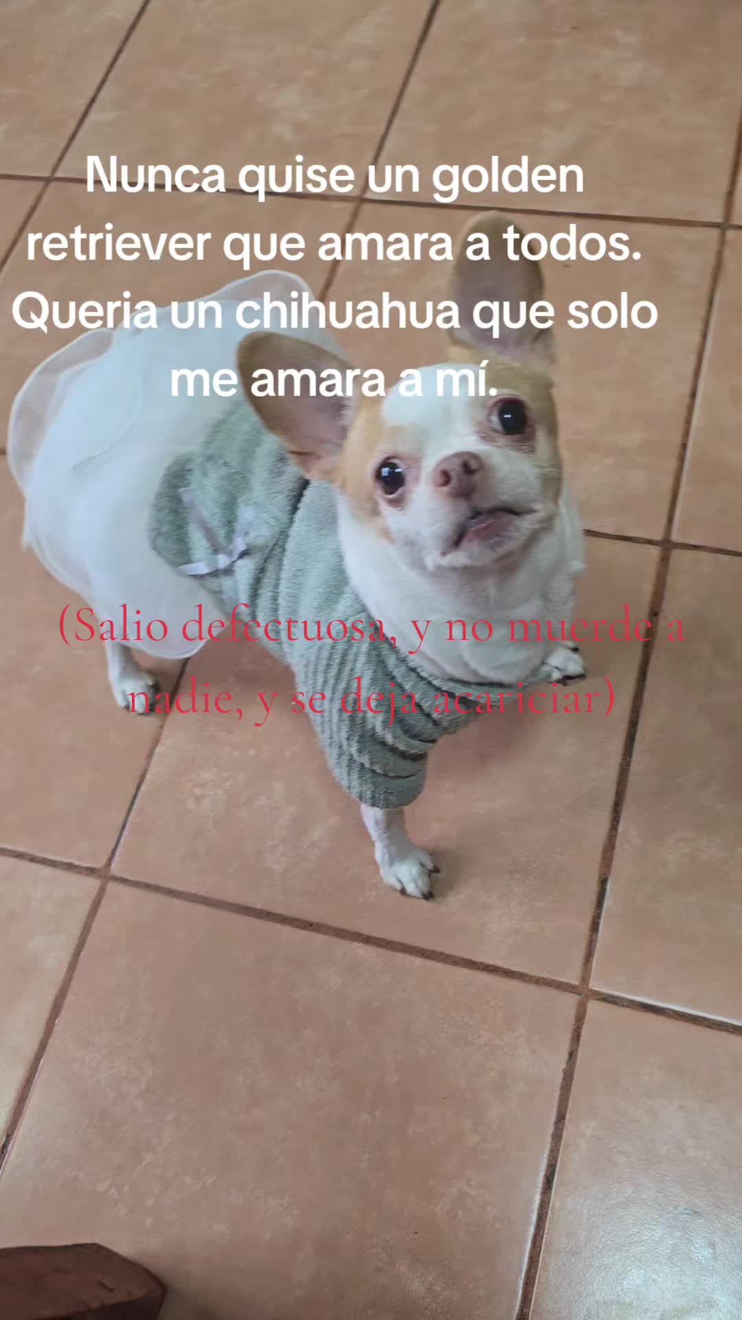 @Mellamoalacran