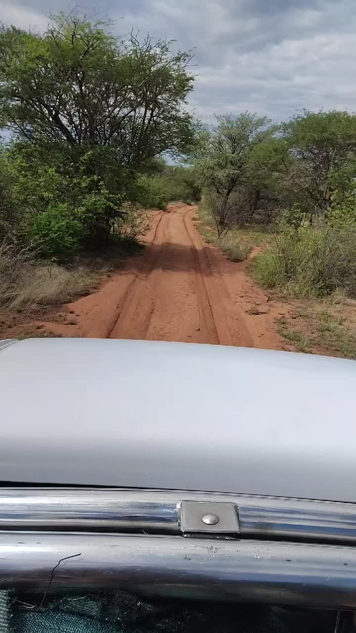 @tsholofelobmmopi