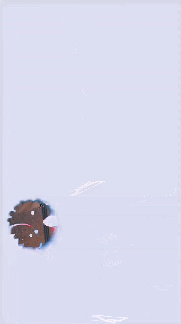 @🍂🇨🇦S̤A̤M̤E̤E̤X̤🍁