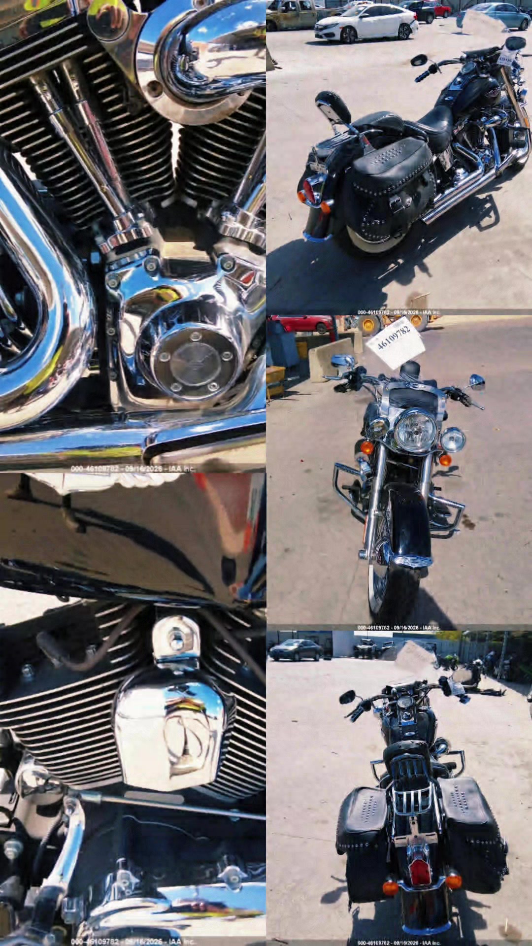 @💀MOTORBIKE LOGISTICA💀