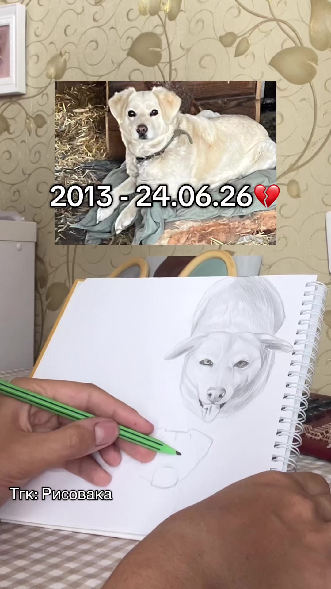 @Lolyamolya~Lapka