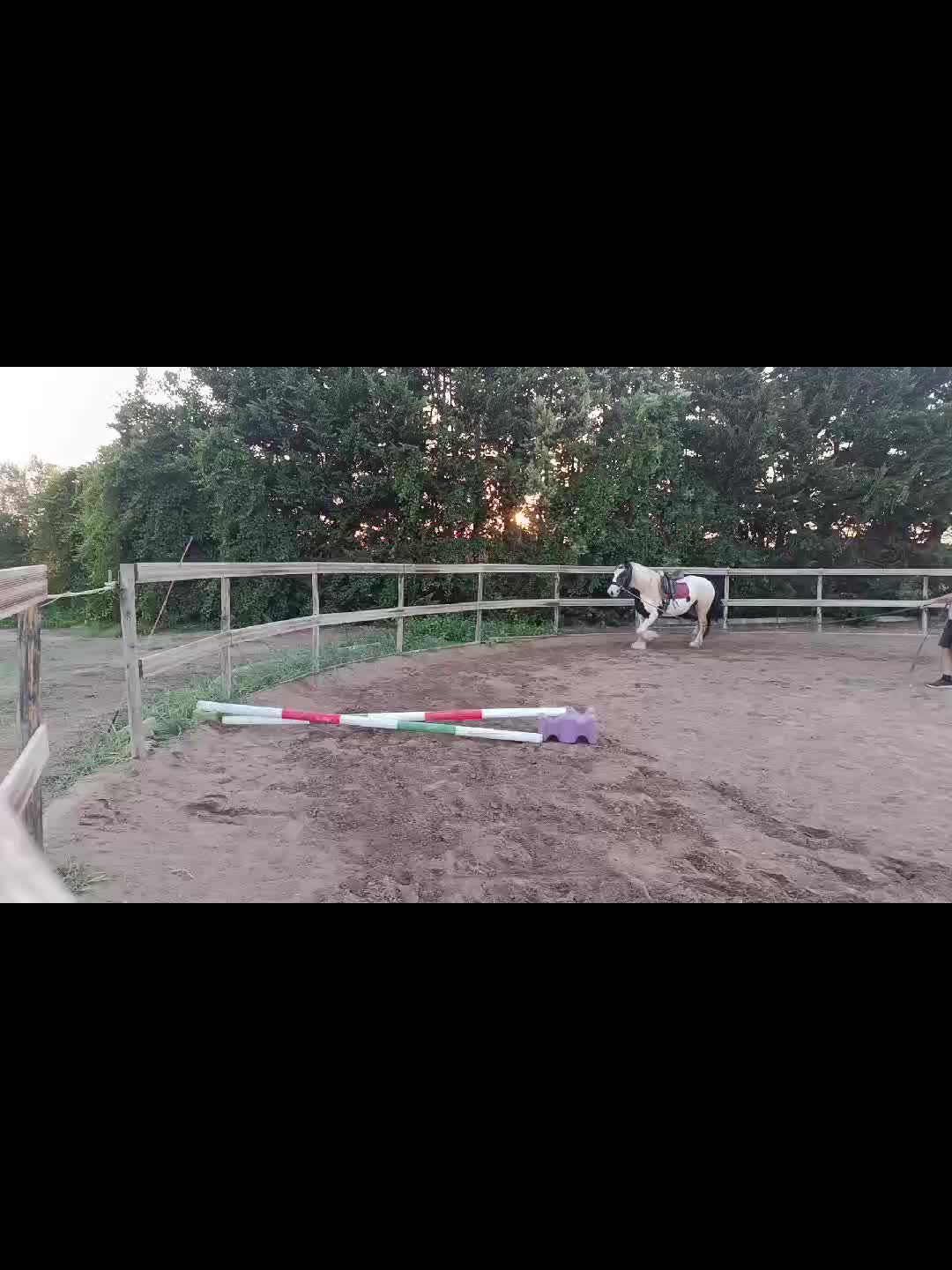 @GypsyHorse