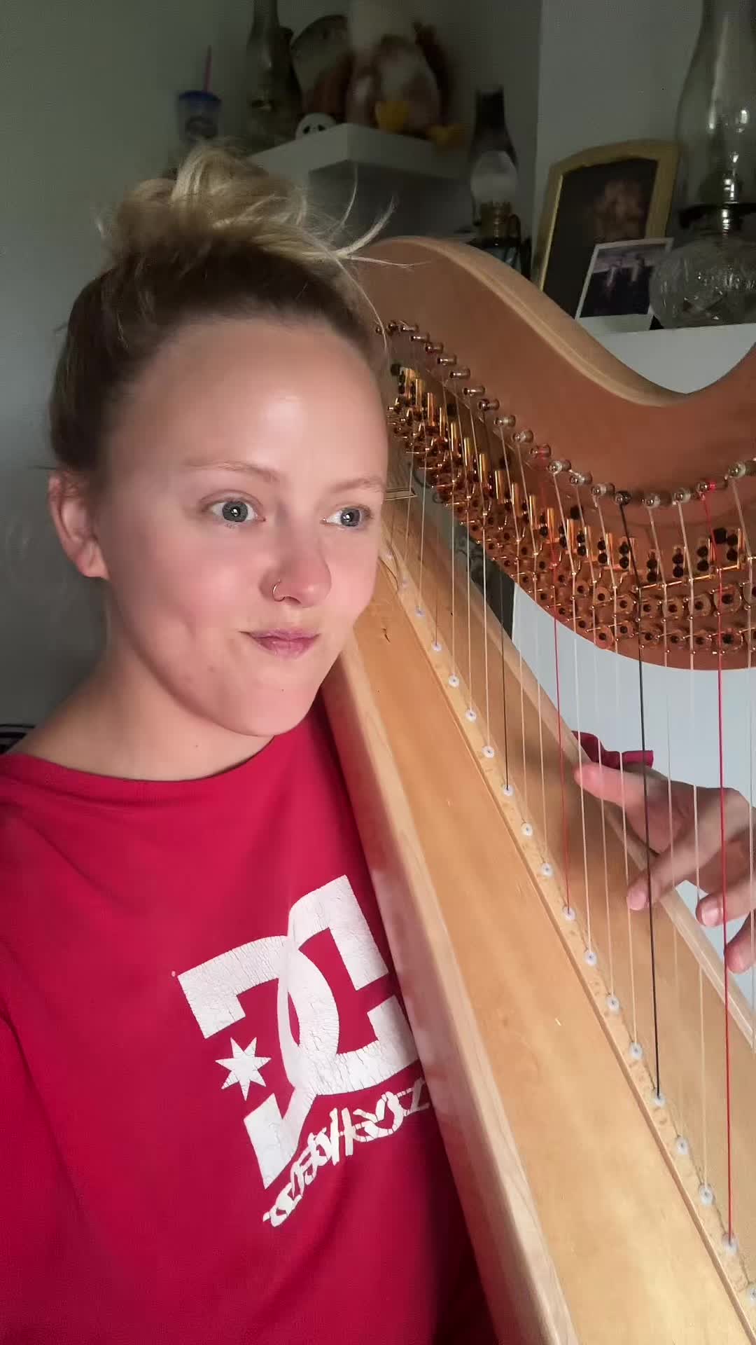 @farmerandtheharpiist