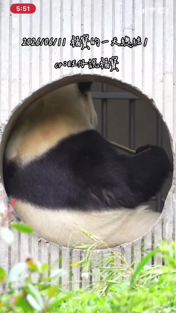 @福寶需要愛的抱抱