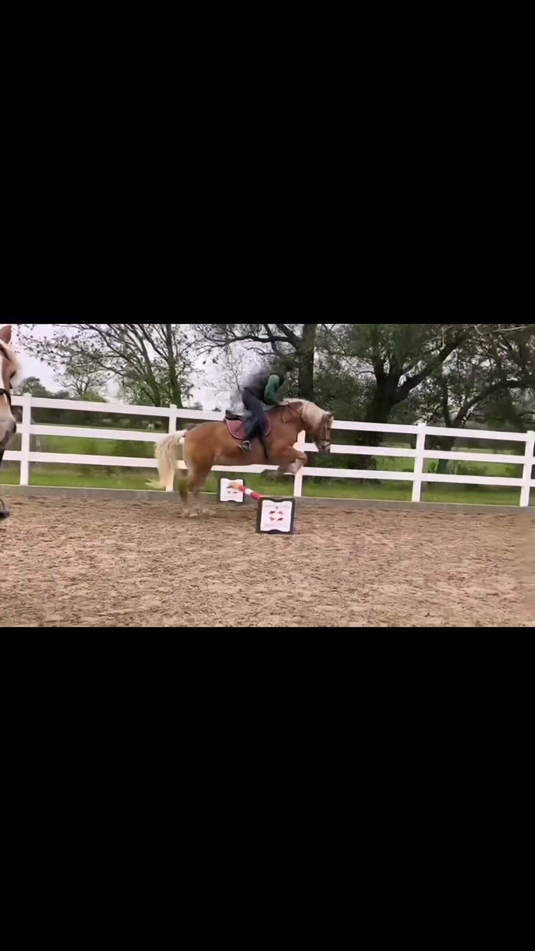 @Emma🐴🎀