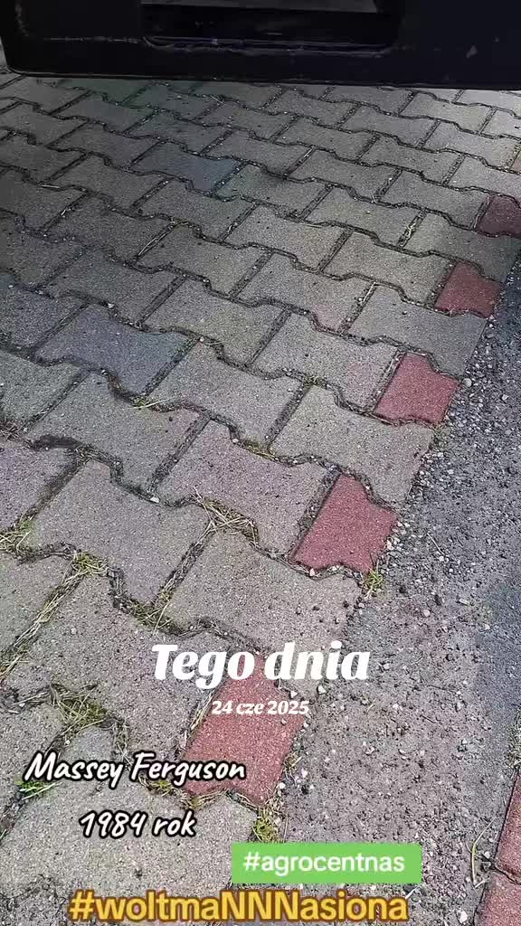 @WOLTMANNNASIONA