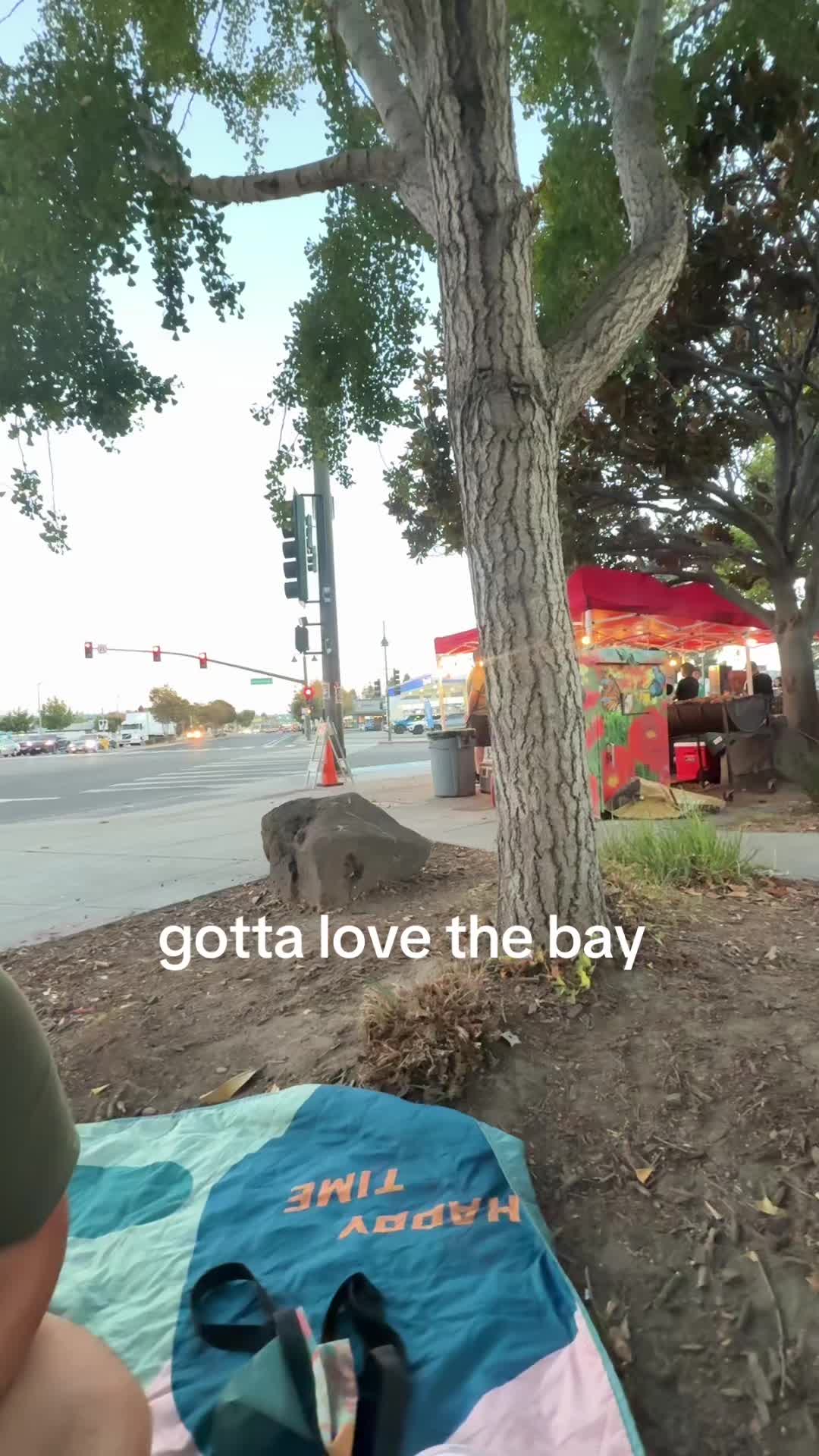 @lunasdigest