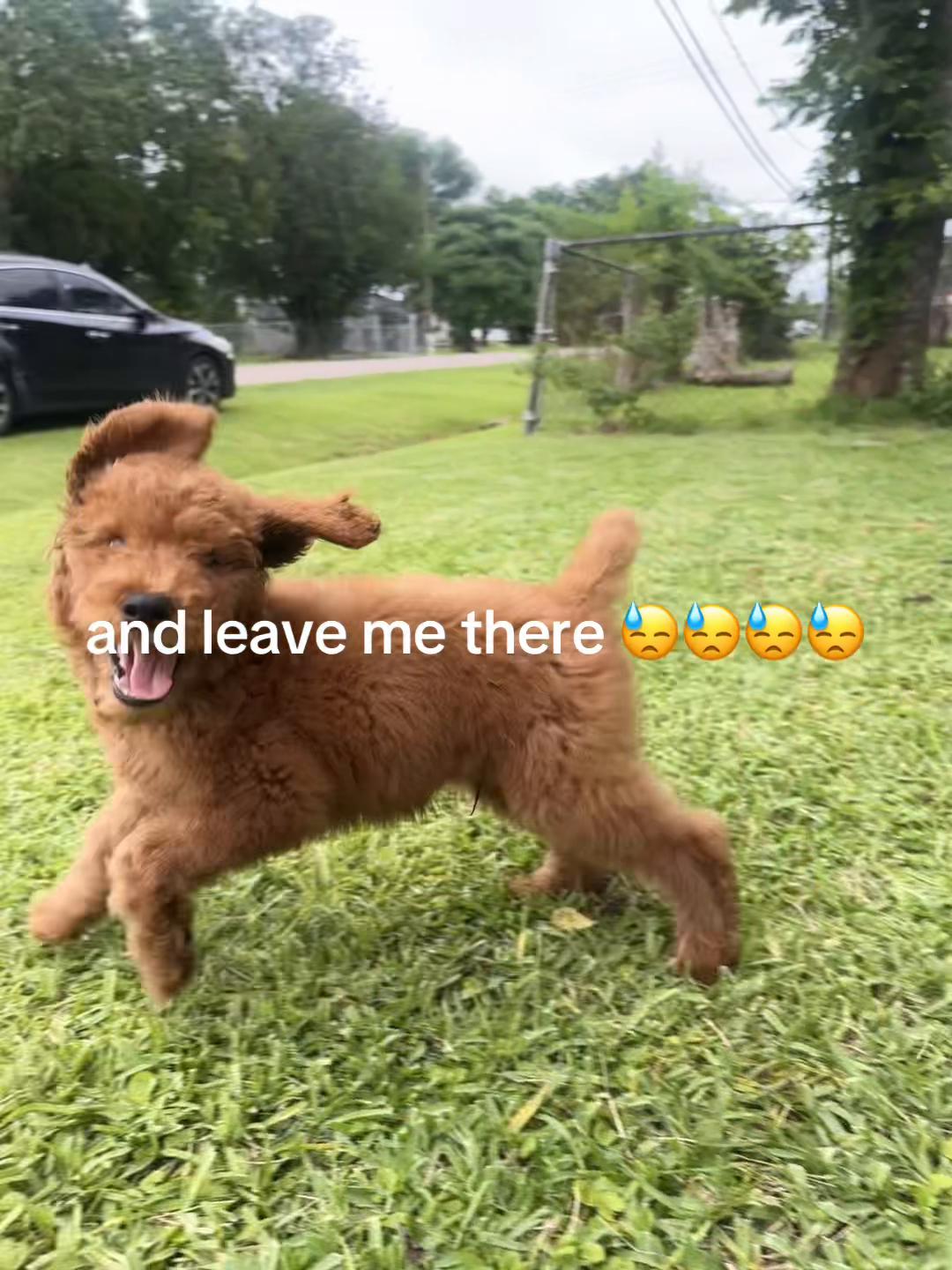 @olivia marley