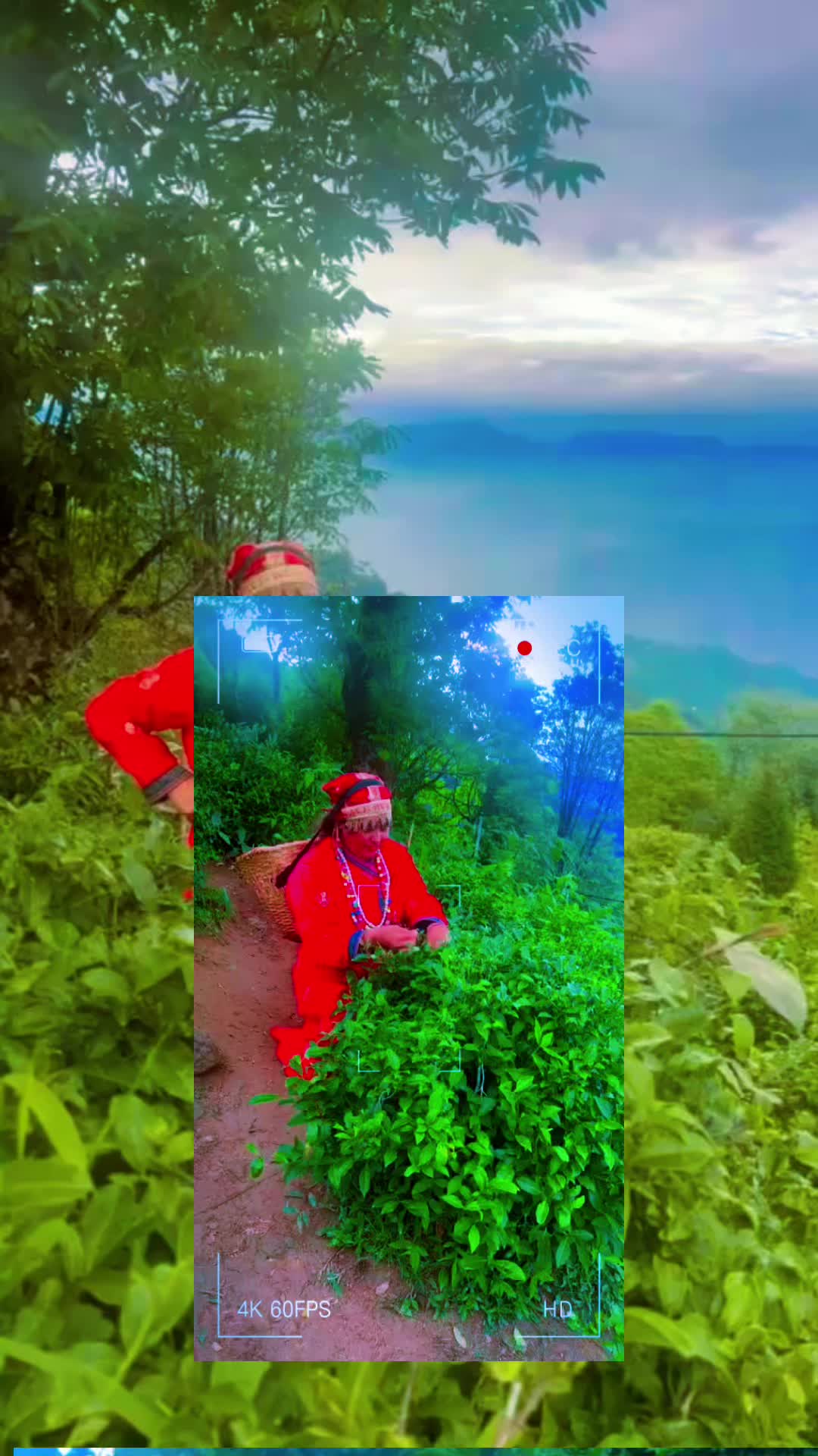 @kgurjeet3