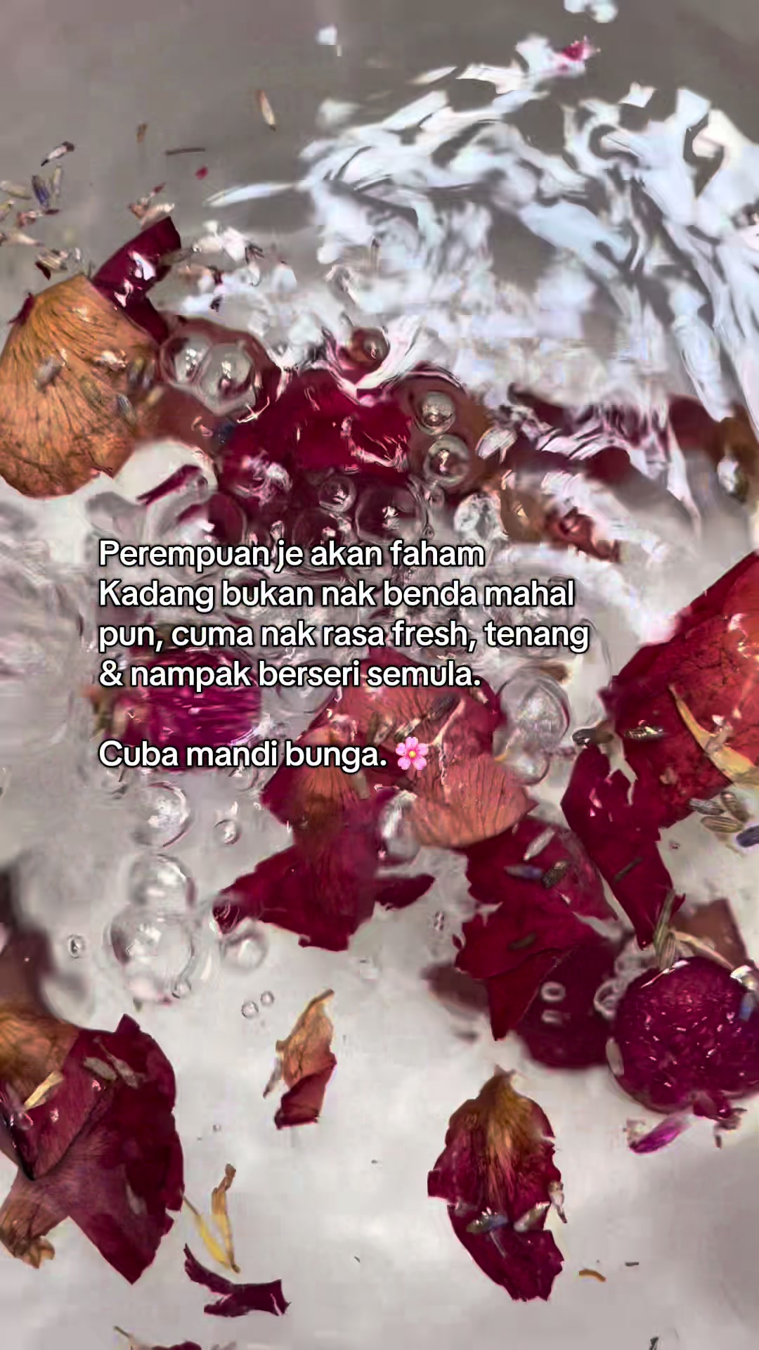 @suhaa’ ๐๐