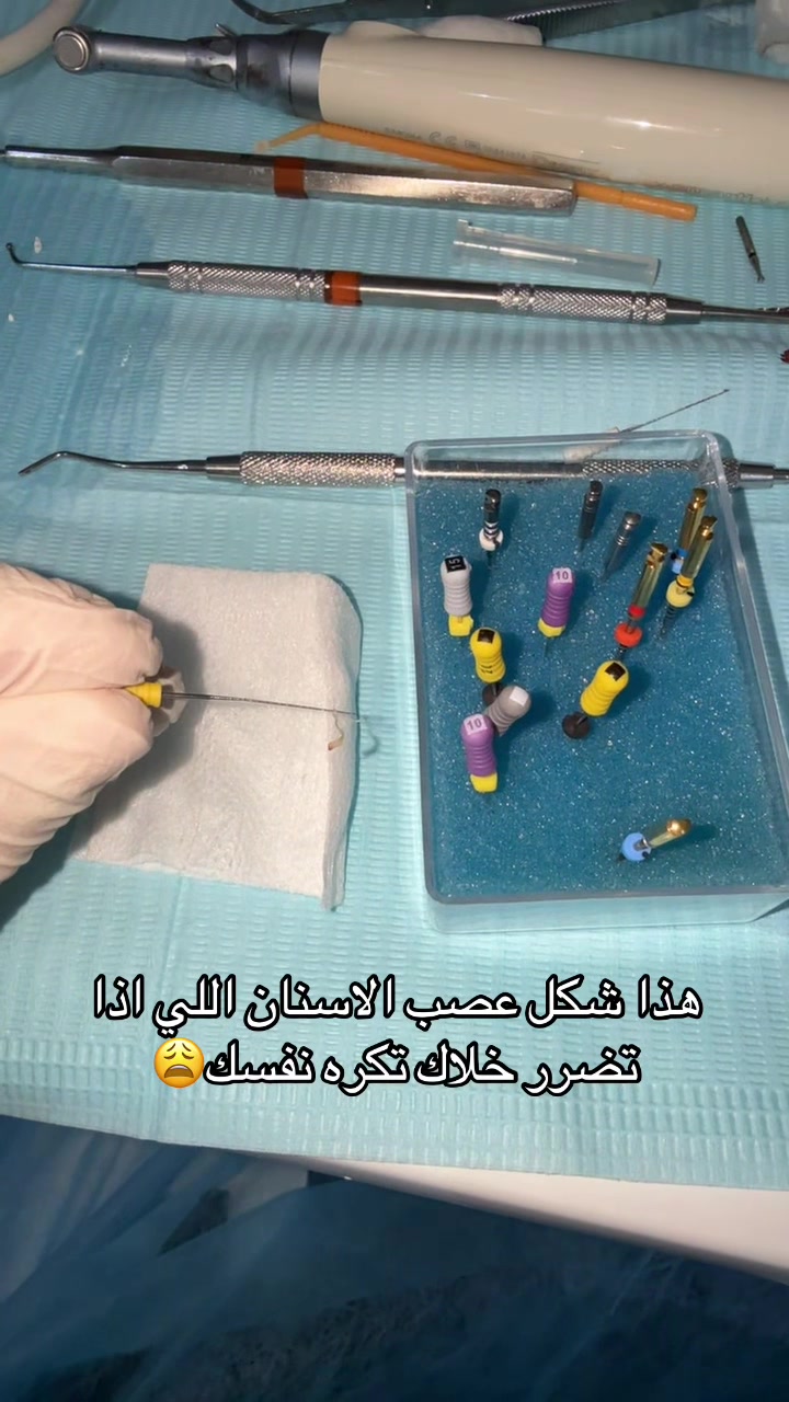 @د/ عائشة الطحامي