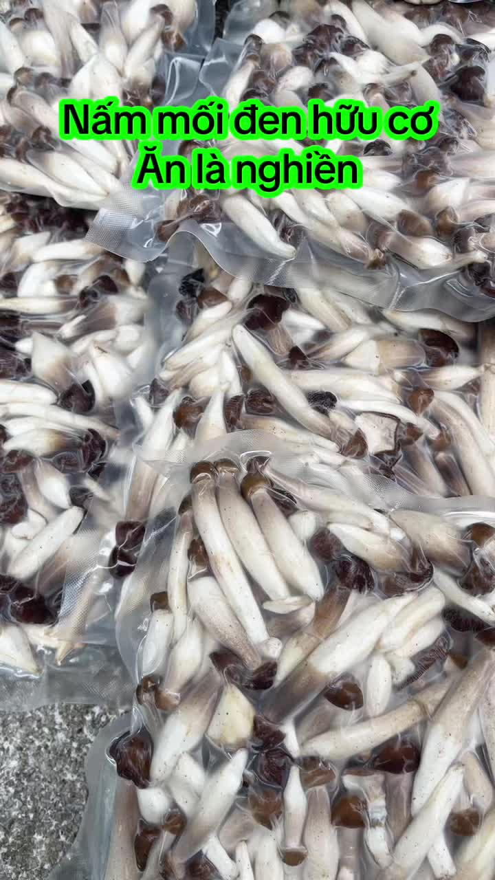 @nguyentuyet_79