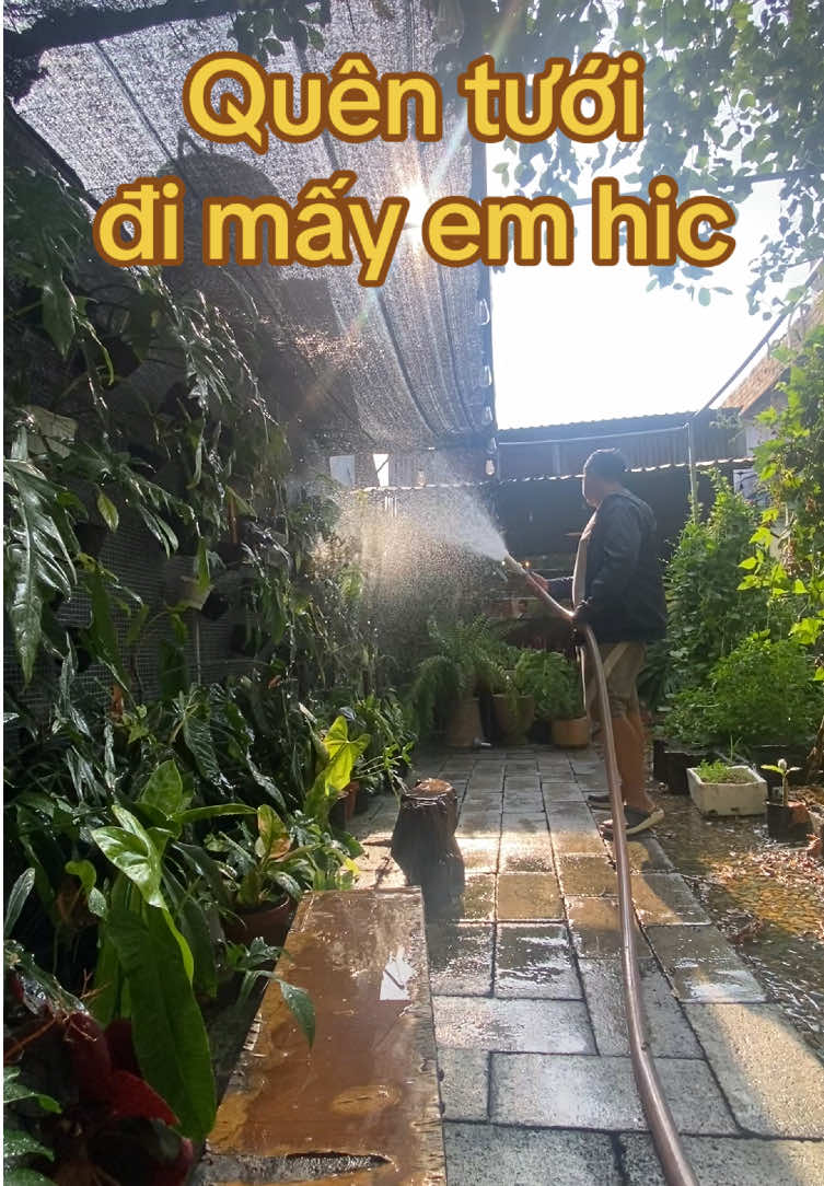 @Kid Garden Decor