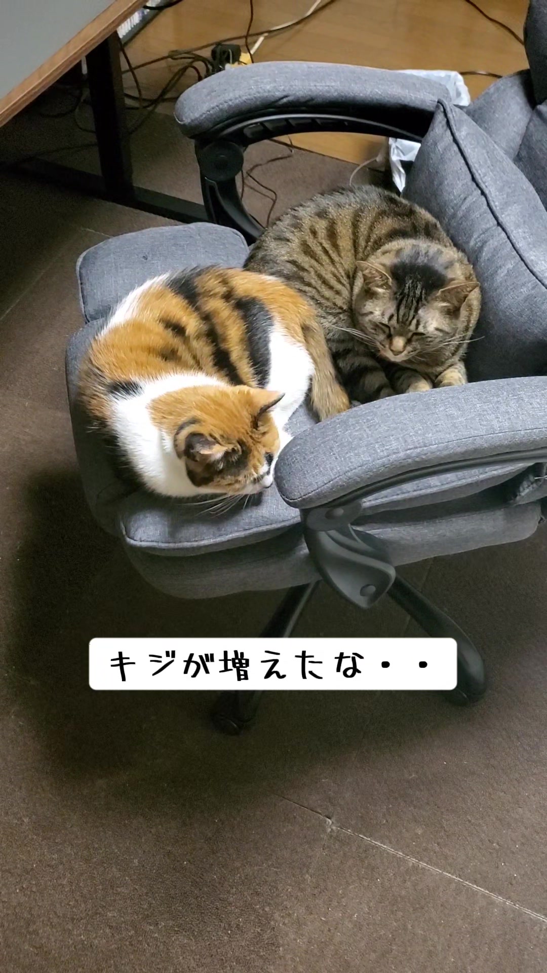 @😻kazuki😻