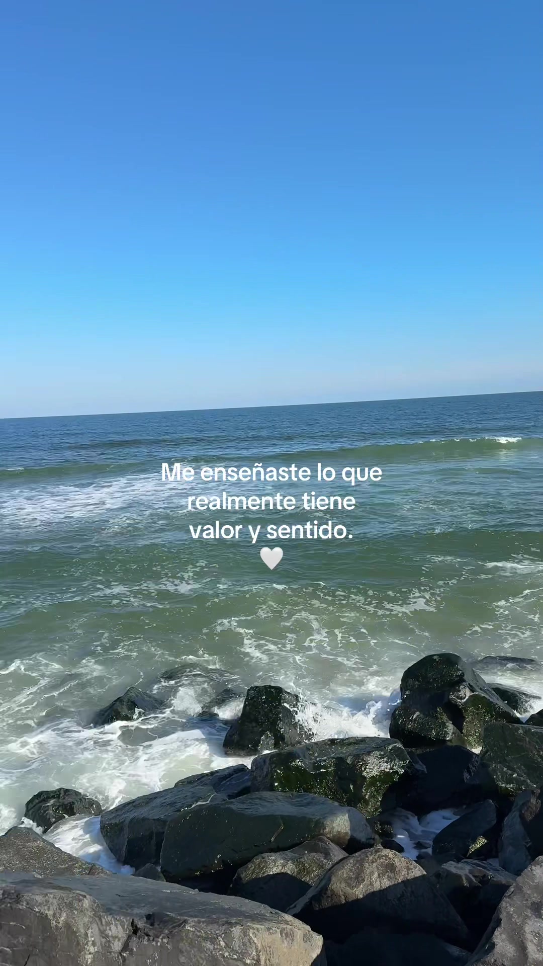 @Cero🕷️