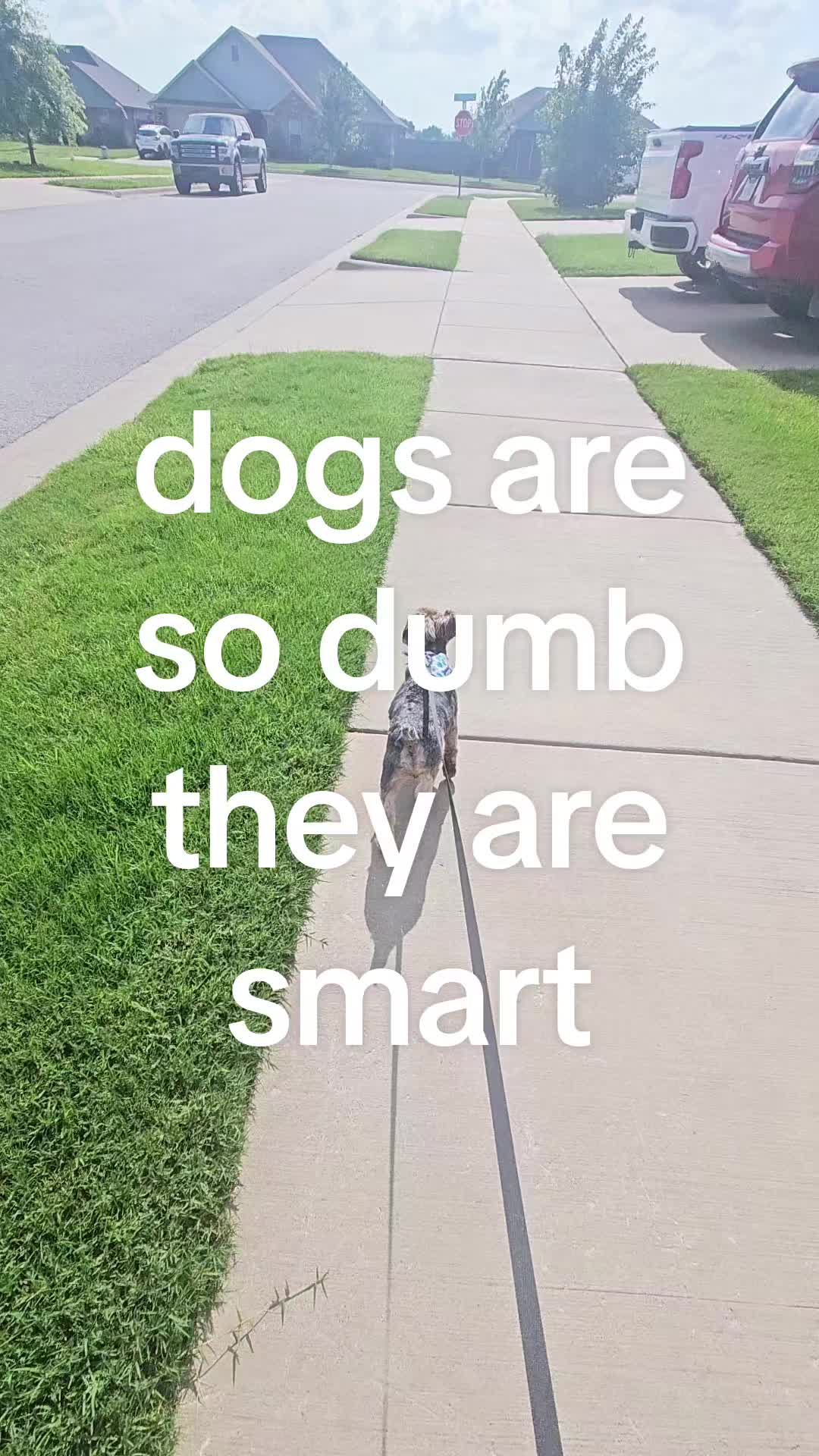 @doodooruh🚀
