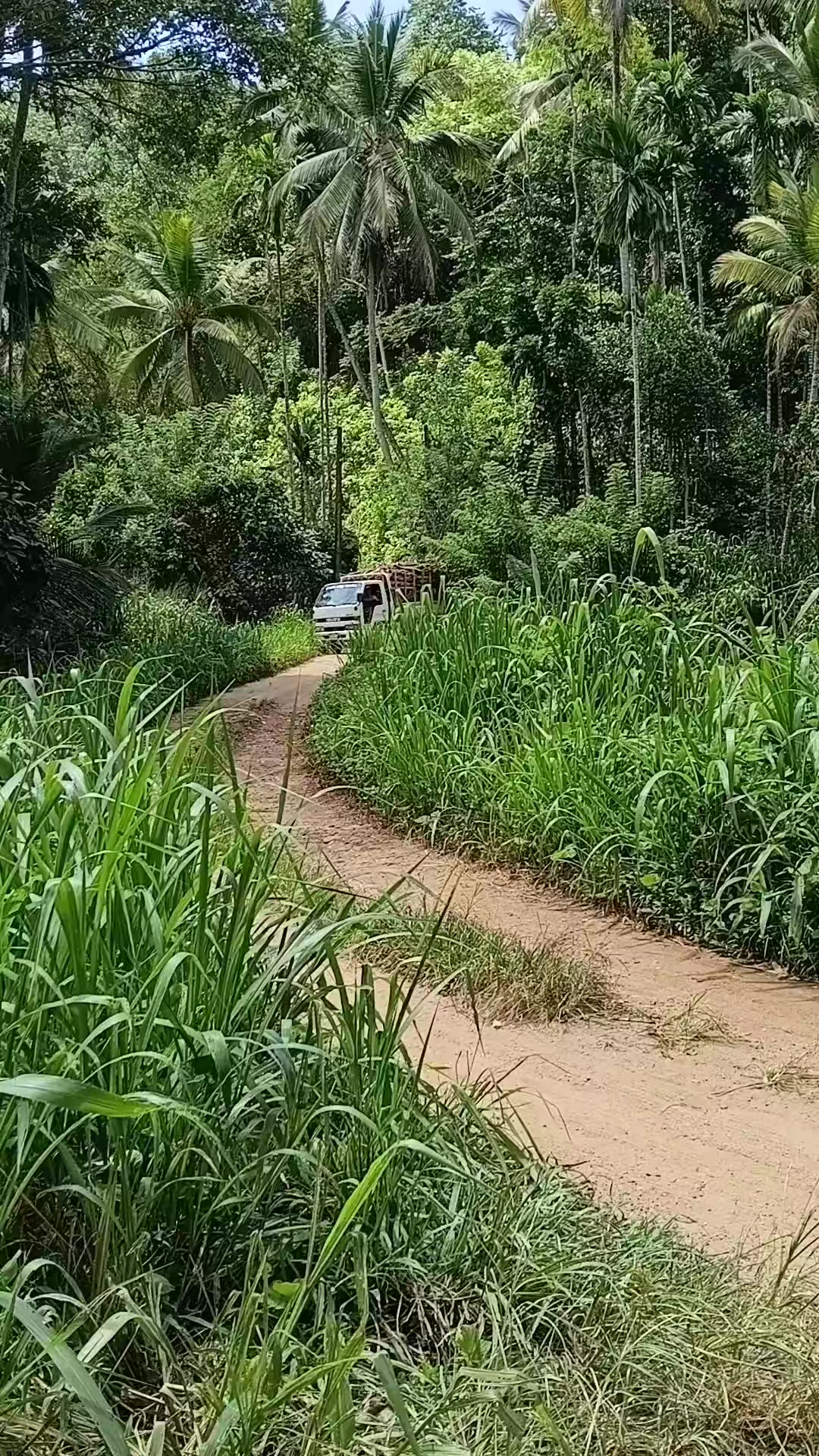 @Hasitha Udesh
