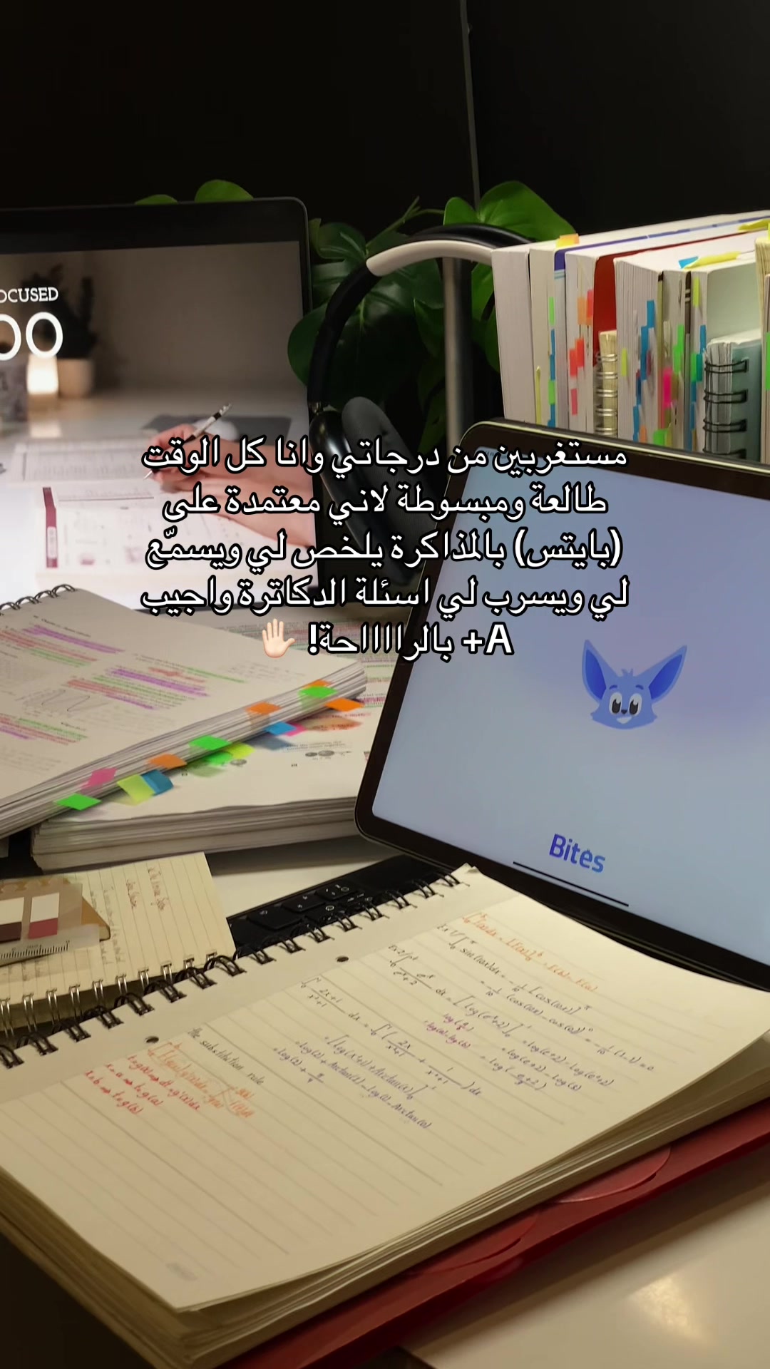 @Bites | بايتس 🪄