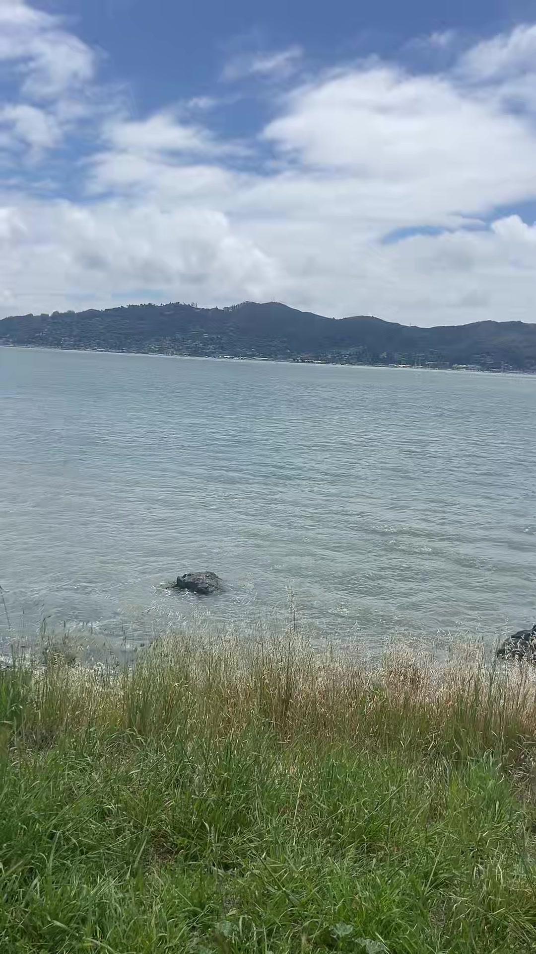 @Lleg&oacute; el Benja 😎