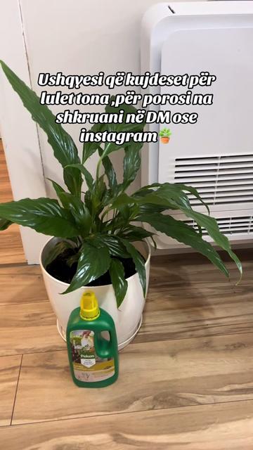 @Lule për ty