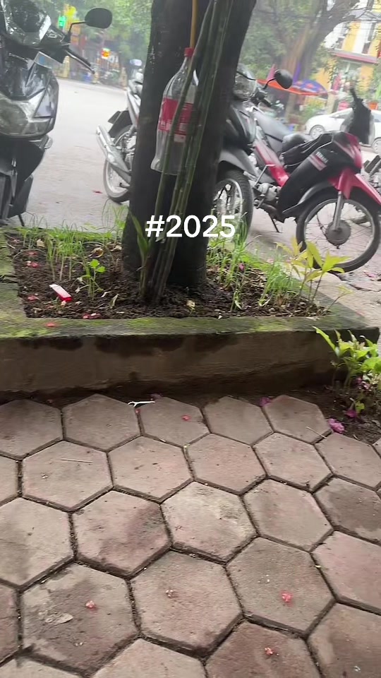 @Spinoffmoji