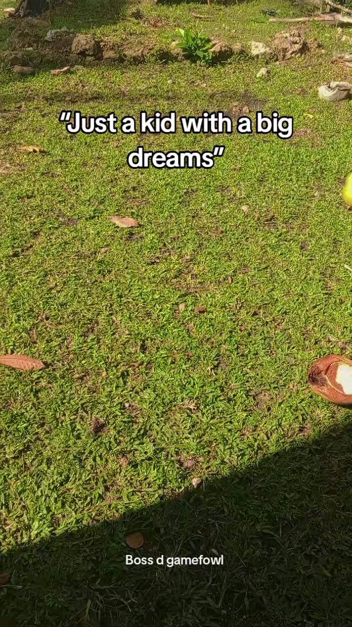 @BONALNOKK🐓