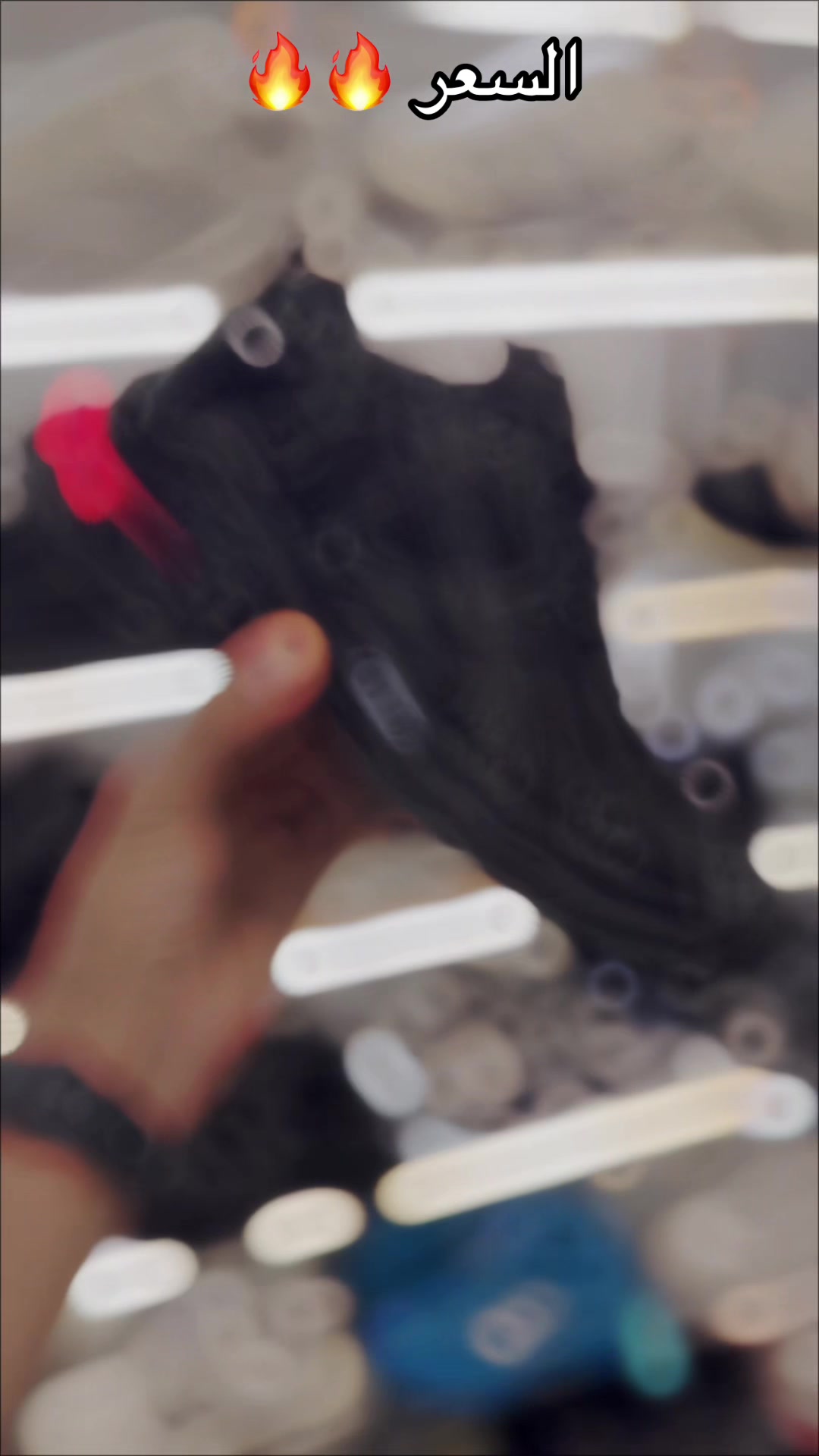 @K A I N STORE