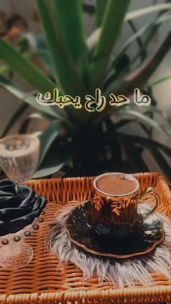 @أمہيّــّرة قلـبِوُلـأزوُجٌيّ♥️