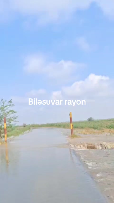 @♤