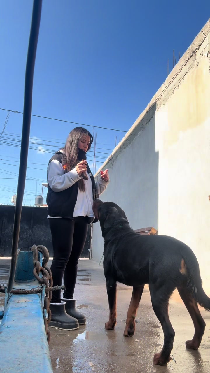 @florllaco