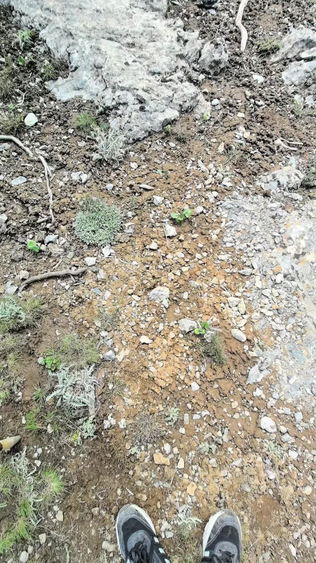 @Баку