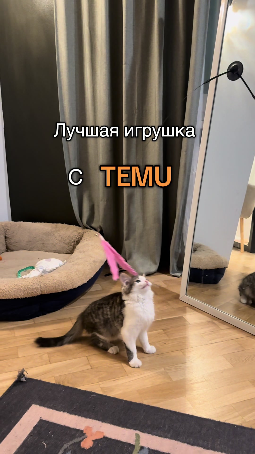 @Nastya 👱🏽♀️