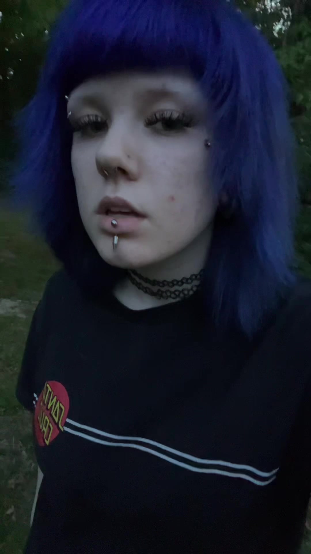@ᓚᘏᗢ