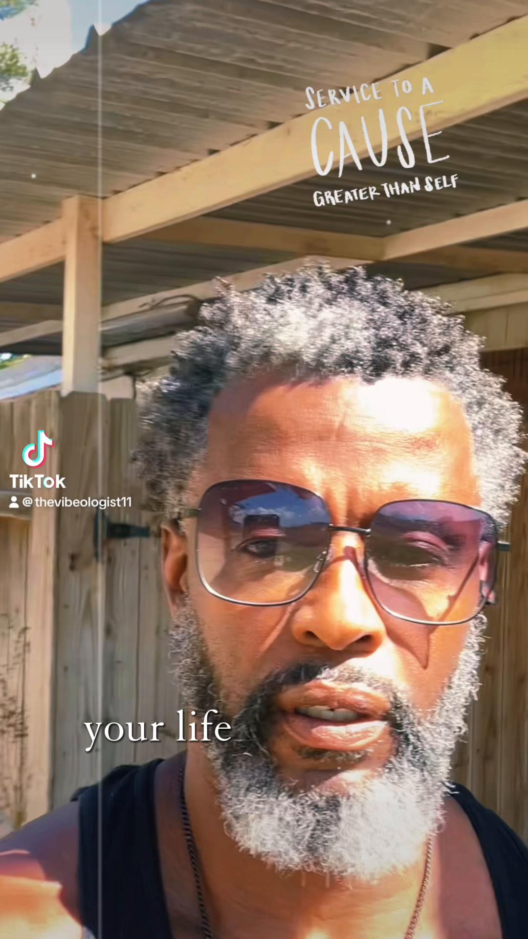 @The Vibeologist