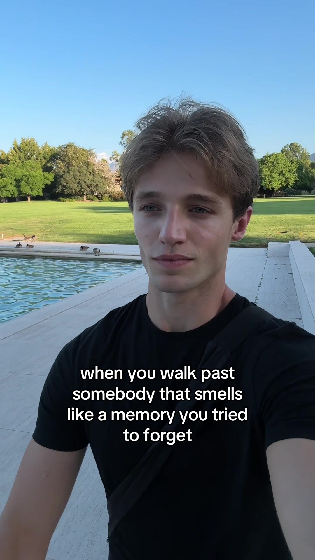 @ZANE