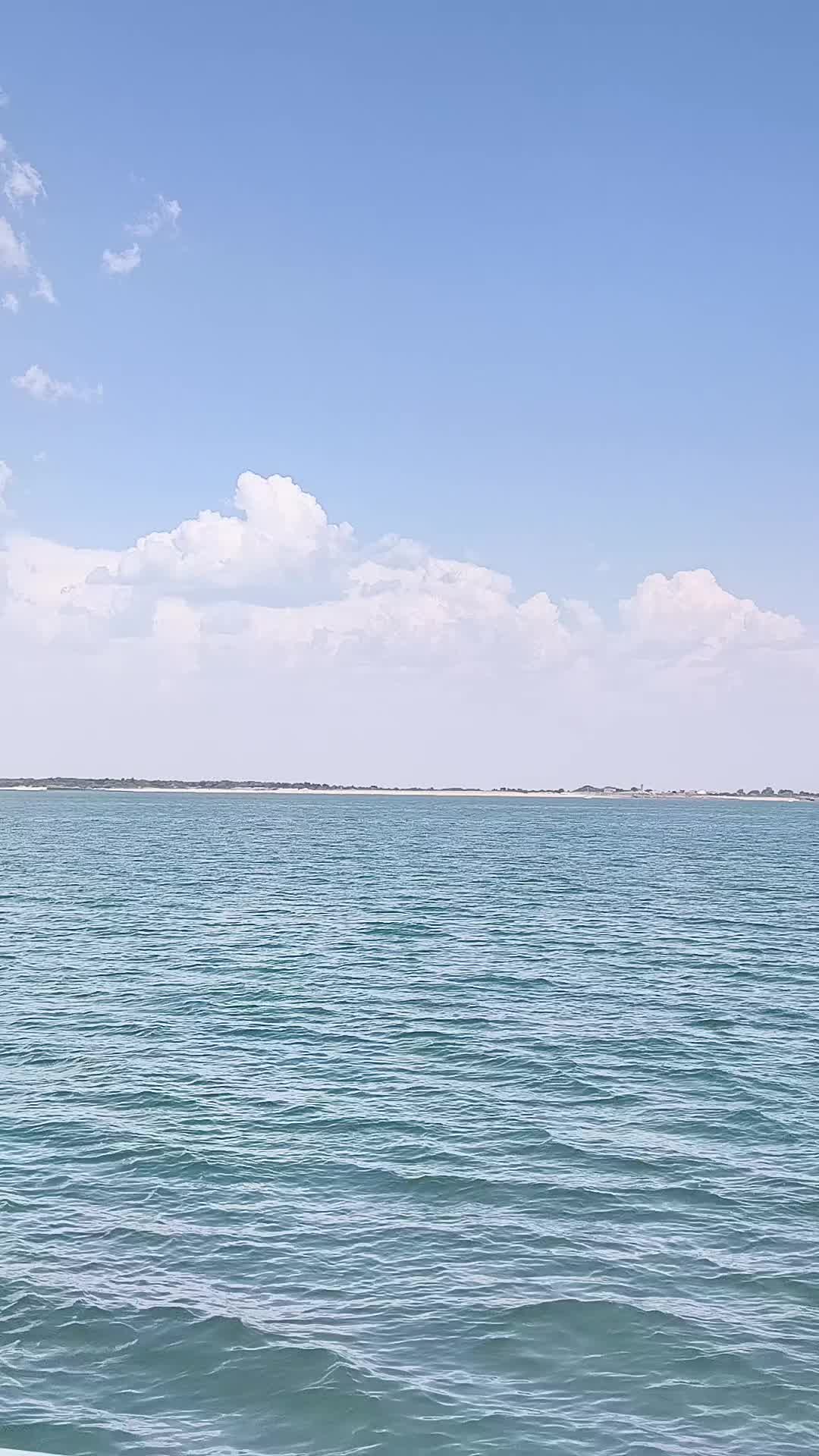 @Râ 🔆🦅♀️