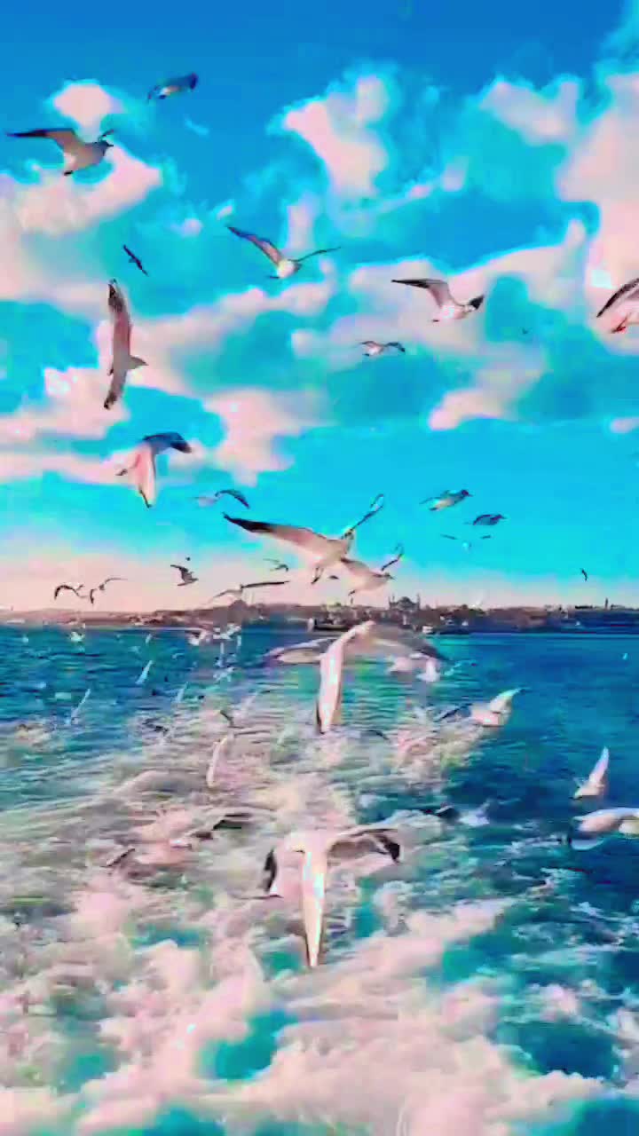 @muxtar019