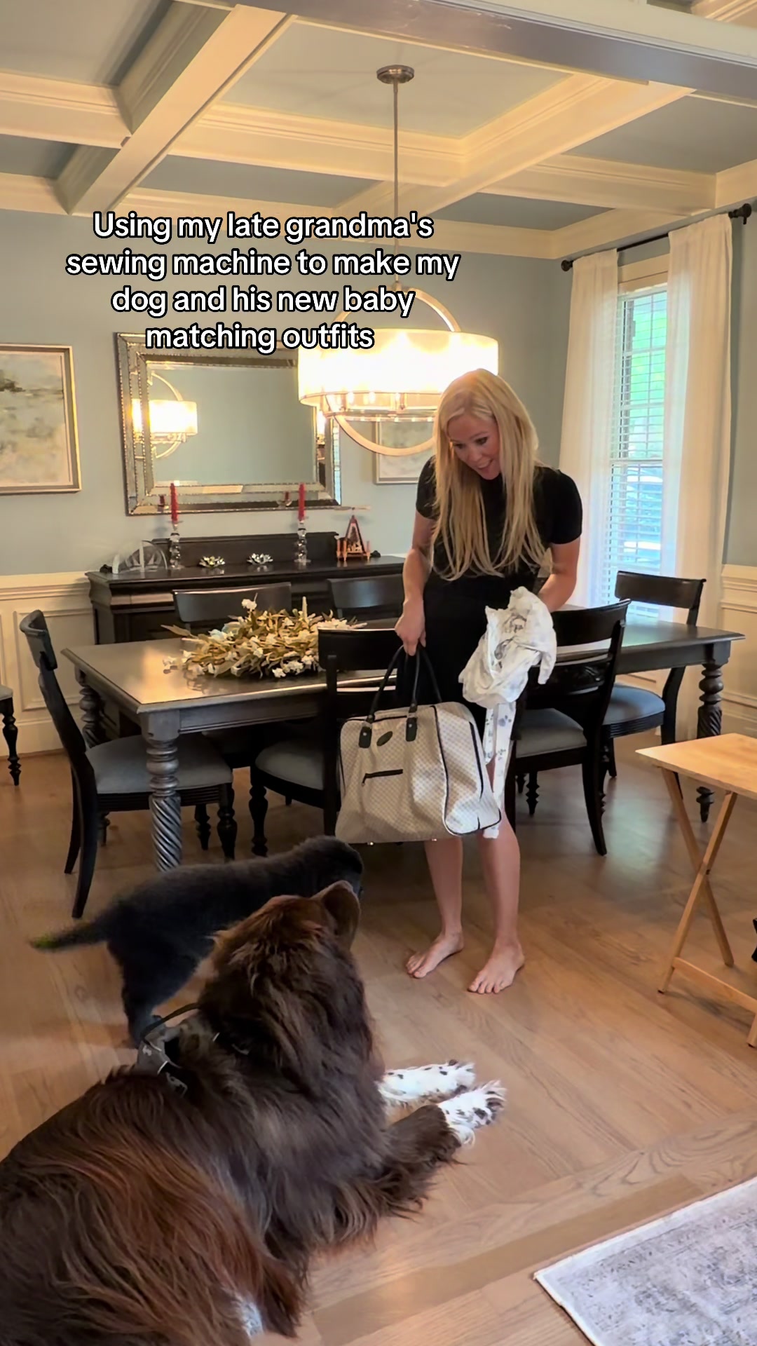@Chewy The Newfoundland