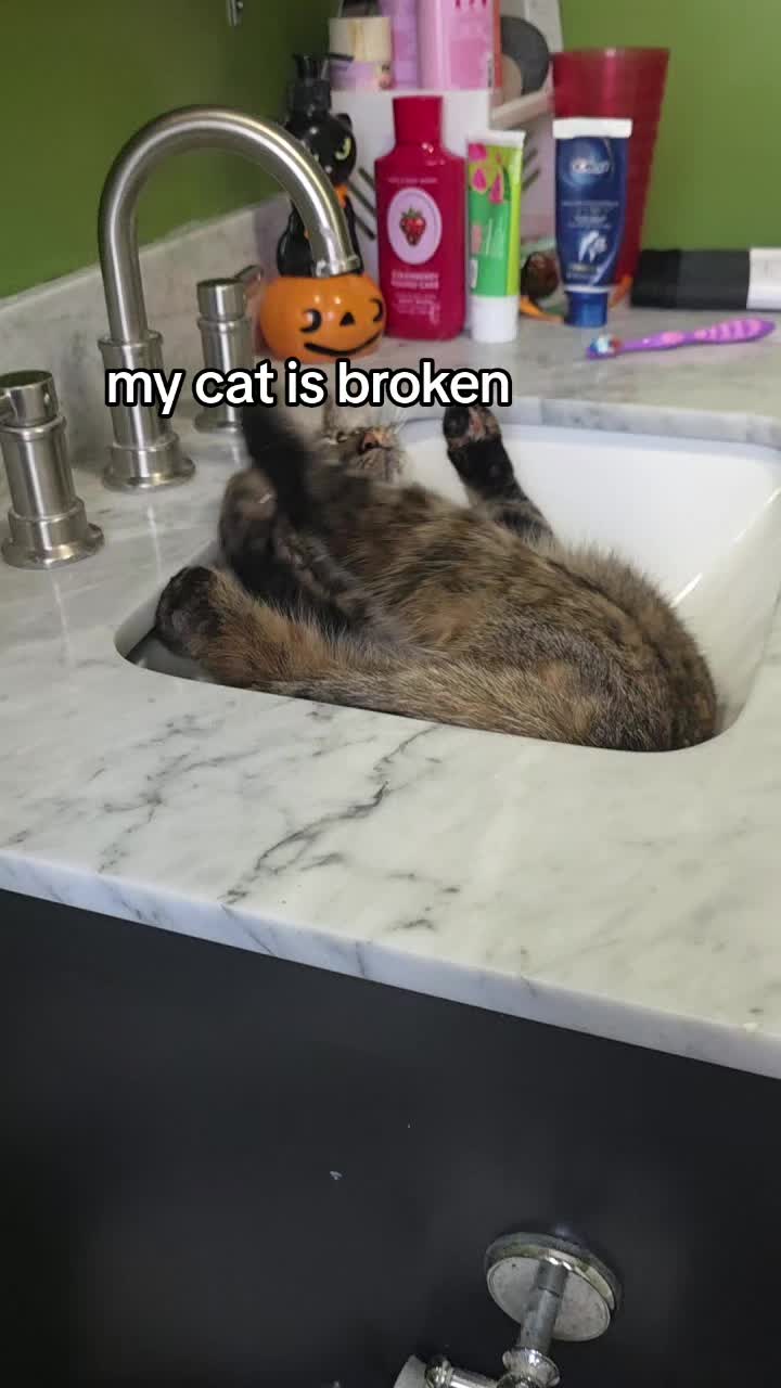@EmieWonders