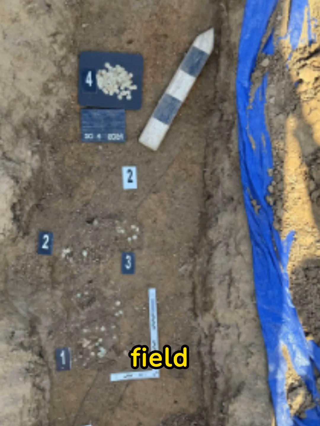 @archaeodiscoveries
