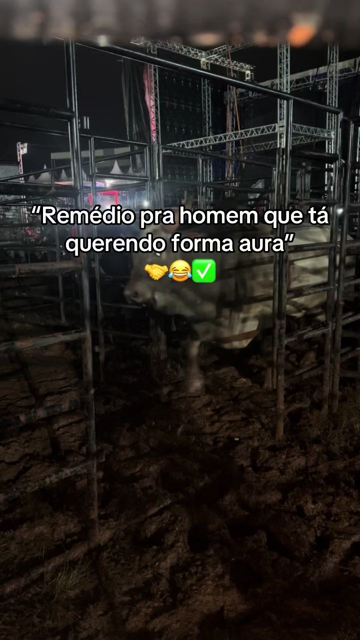 @victorcowboy4