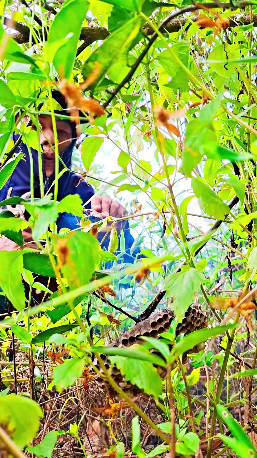 @Kết Nối Đam Mê Ong