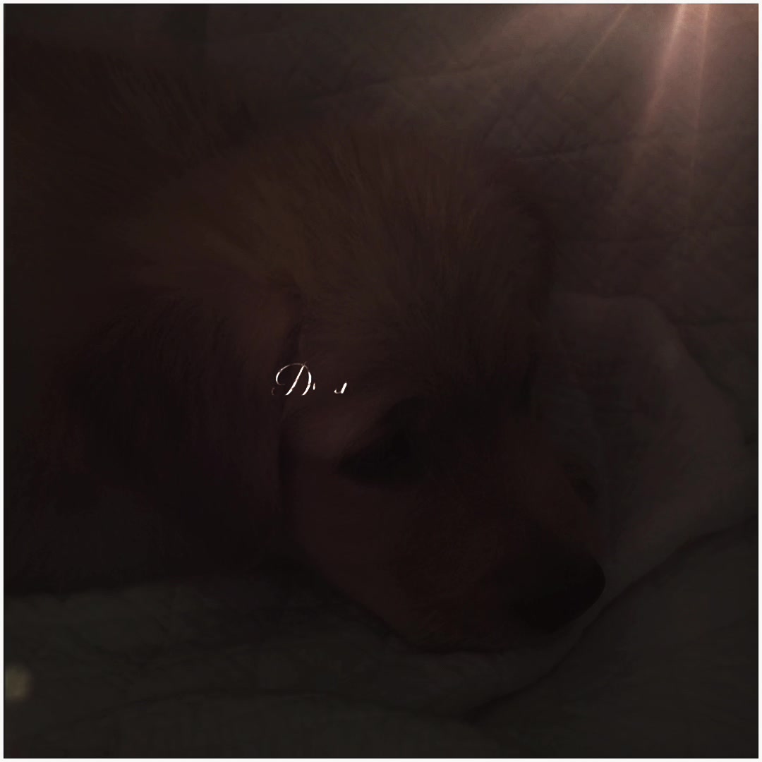 @𖦹˖ ࣪✦ 𝘳𝘰𝘯 — ⟢