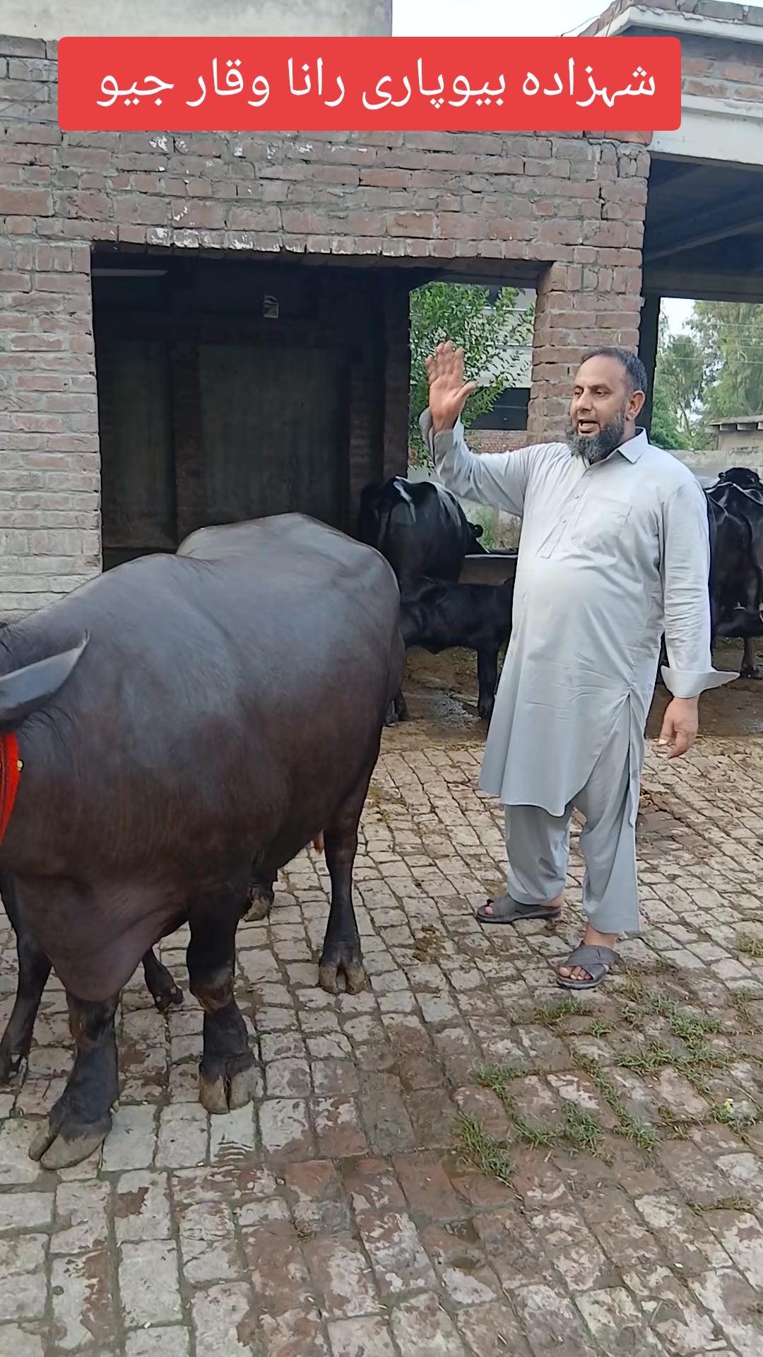 @Farming and Business Ideas