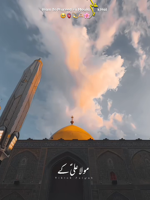 @𝐙𝐀𝐈ن𝐀𝐛ރ